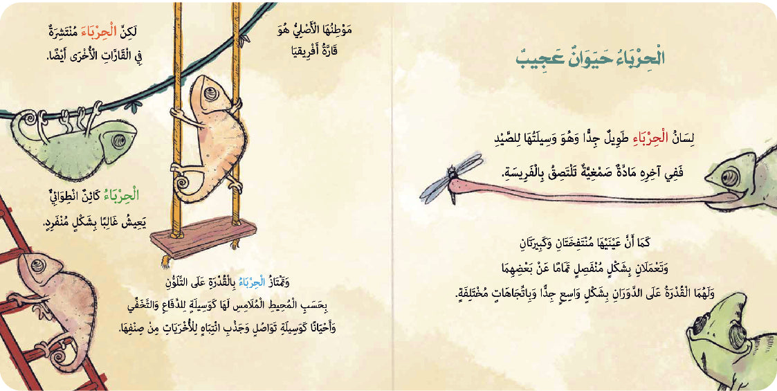 السيد بقعة وألوانه السبعة